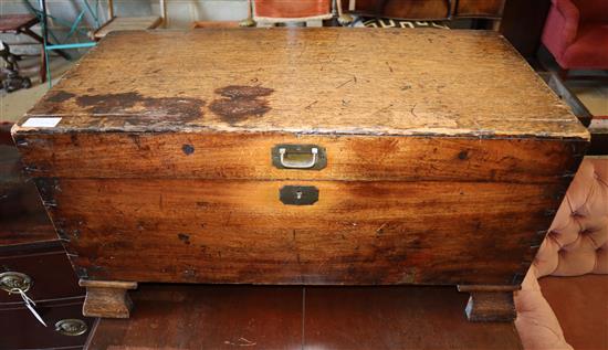 A late 19th century camphorwood chest, width 83cm, depth 41cm, height 44.5cm